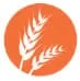 Gluten